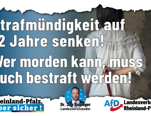 AfD Rheinland-Pfalz fordert Strafmündigkeit ab 12 Jahren