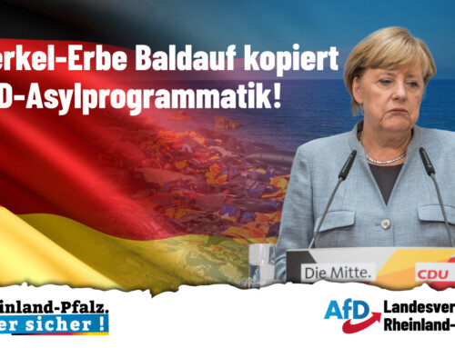 CDU-Baldauf übernimmt AfD-Asylprogrammatik!