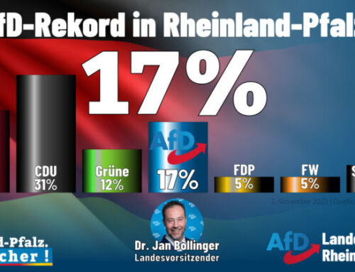 17%! AfD-Rekord in Rheinland-Pfalz