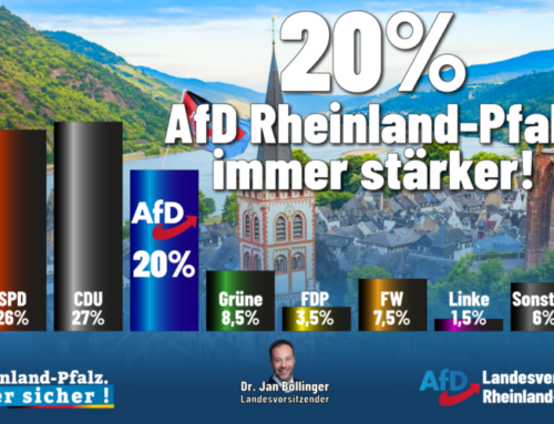 20% – AfD Rheinland-Pfalz wird immer stärker!