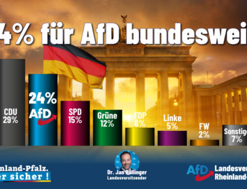 24% für AfD bundesweit!